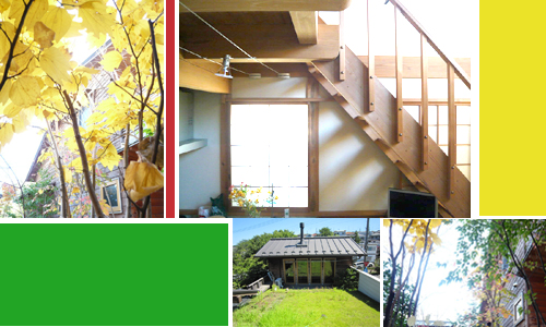 new-house-w.jpg