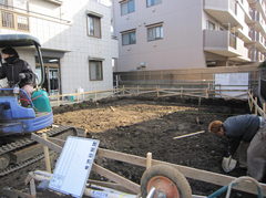 IMG_7345.jpg